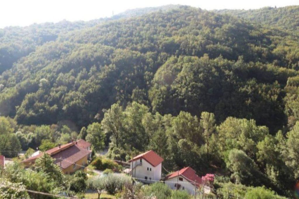 Вилла Il Non Ti Scordar Di Me Valbravenna Экстерьер фото